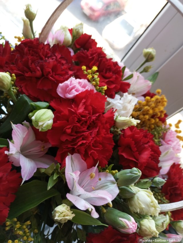 Мы с Юки поздравляем всех с 8 марта (фото 10)