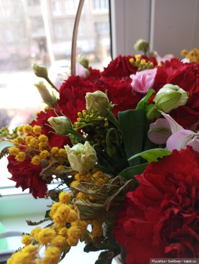 Мы с Юки поздравляем всех с 8 марта (фото 7)