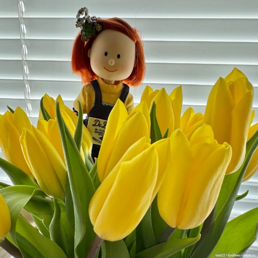 Madeline — Игровые куклы разных производителей (Разное): редкие бренды (фото 7)