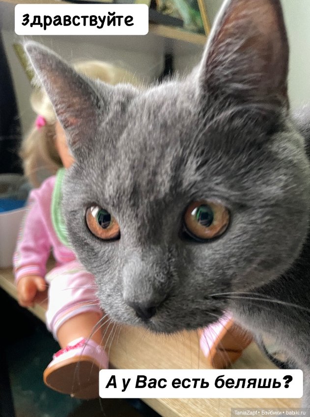 Редкая малышка Молли от Zapf Creation