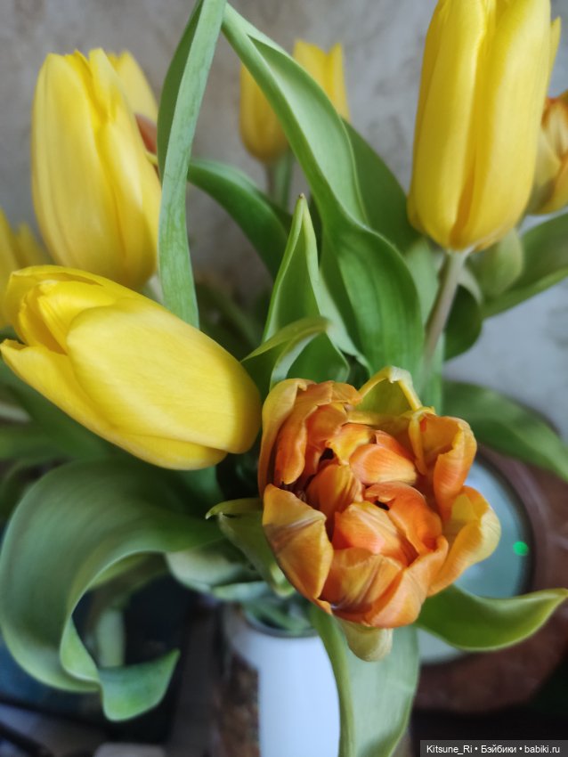 Восьмая марта🥳 — Коллекции шарнирных