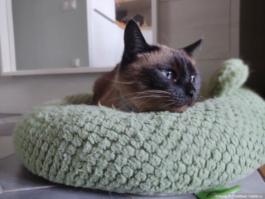 Восьмая марта🥳 — Коллекции шарнирных