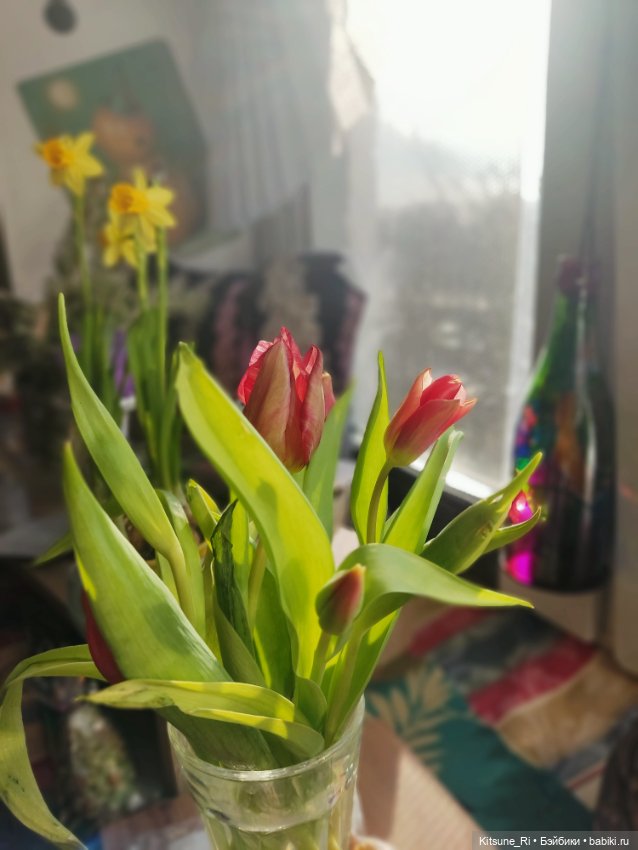 Восьмая марта🥳 — Коллекции шарнирных