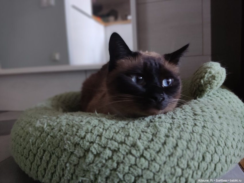 Восьмая марта🥳 — Коллекции шарнирных