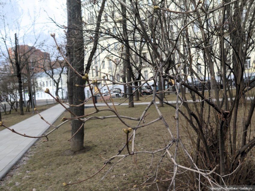 Милые и удачные гибриды Mini Lalaloopsy и LOL (фото 8)