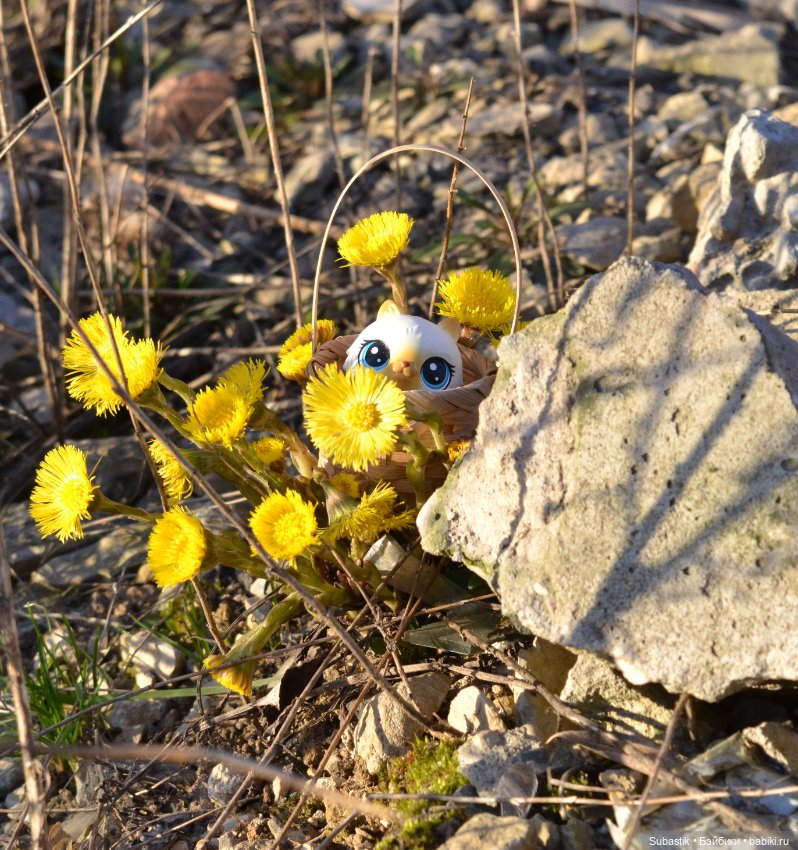 Весна идет — Оригинальные куклы Blythe (Блайз): Takara (фото 5)