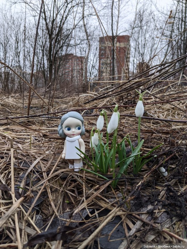 Весна идет — Оригинальные куклы Blythe (Блайз): Takara