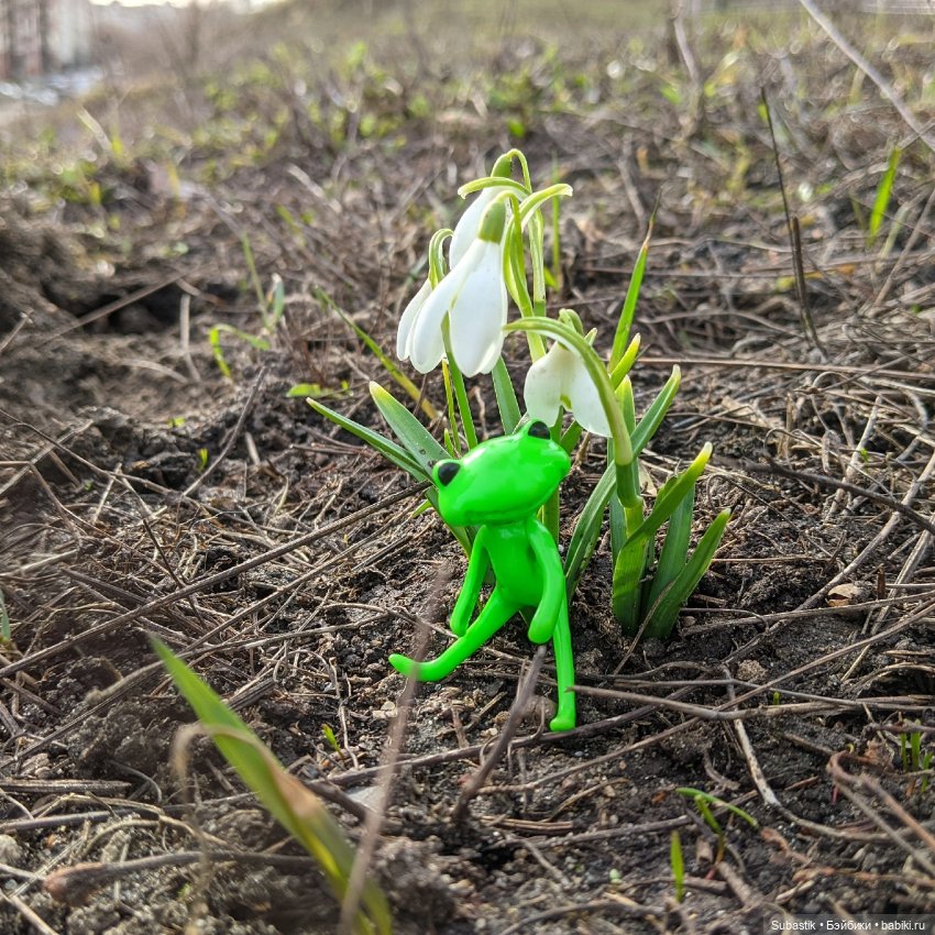 Весна идет — Оригинальные куклы Blythe (Блайз): Takara