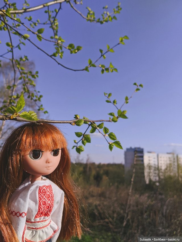 Весна идет — Оригинальные куклы Blythe (Блайз): Takara