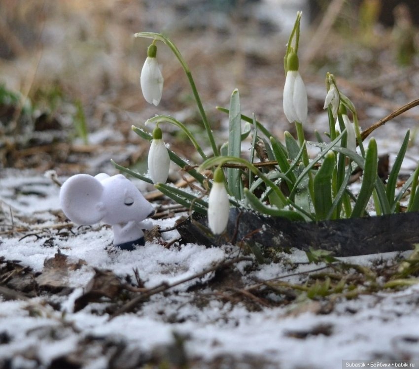 Весна идет — Оригинальные куклы Blythe (Блайз): Takara