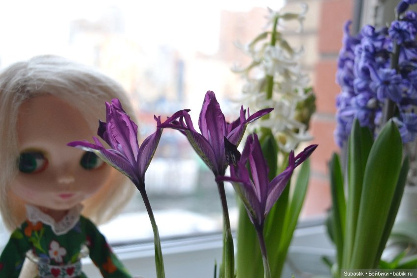 Весна идет — Оригинальные куклы Blythe (Блайз): Takara (фото 7)