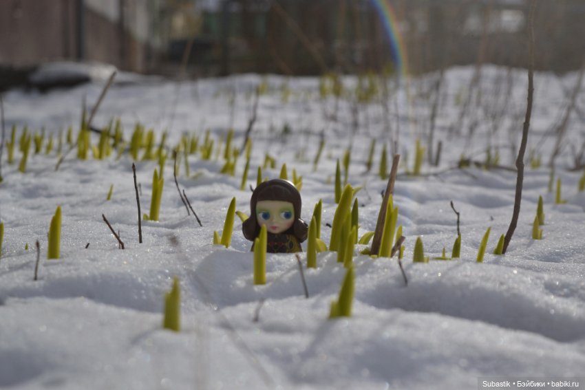 Весна идет — Оригинальные куклы Blythe (Блайз): Takara (фото 2)