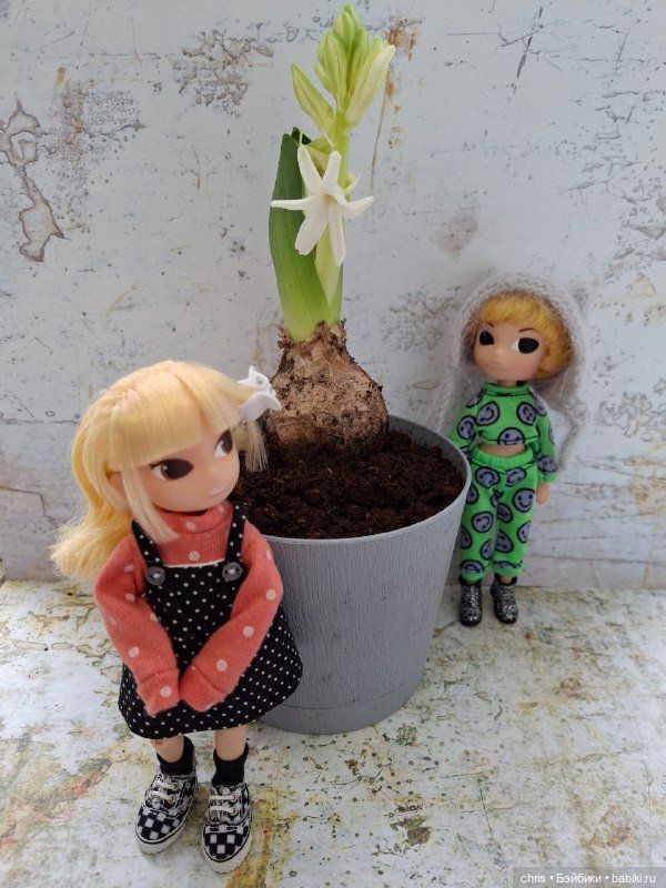 Мои подростки Momoko — Куклы Momoko и Ruruko (Petworks (фото 7)
