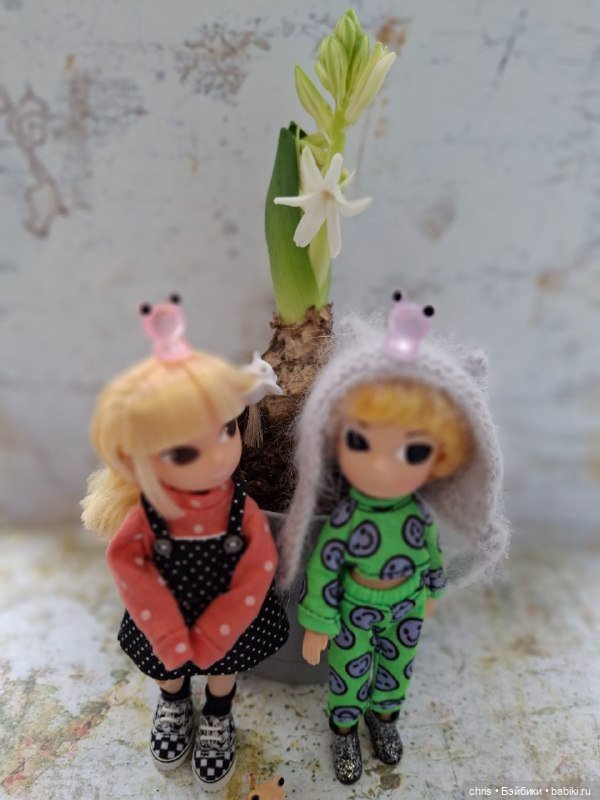 Мои подростки Momoko — Куклы Momoko и Ruruko (Petworks (фото 6)