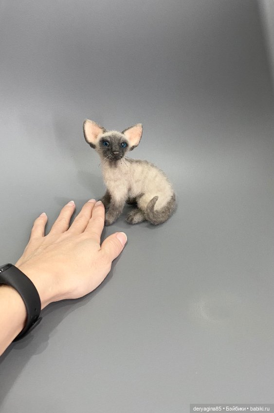 Сиамский котик — Валяные игрушки из шерсти: сухое валяние (фото 6)