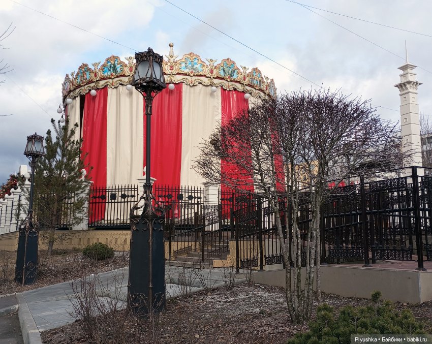 Весенняя прогулка Камелии (фото 2)