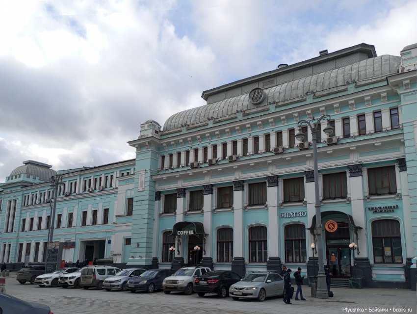 Весенняя прогулка Камелии