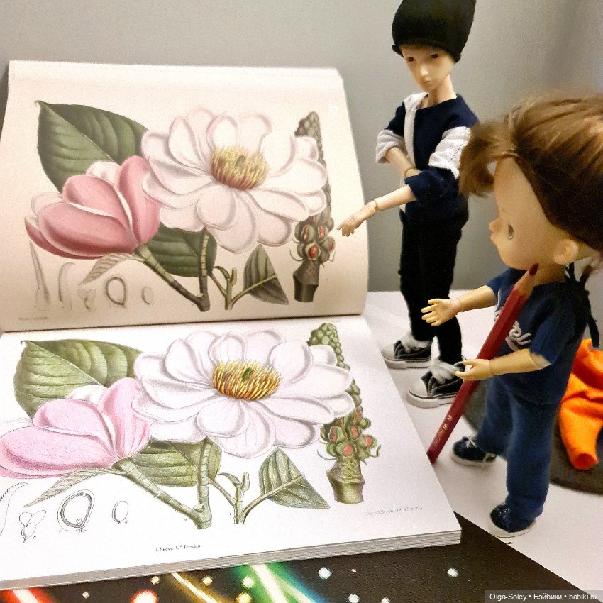 В коробке с карандашами — Куклы Xiaomi Monst (Сяоми) и Pipitom: шарнирные