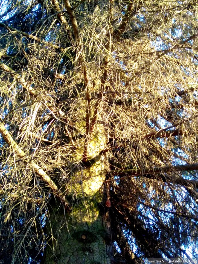 Про Нафочку. У руля — Гибриды шарнирных кукол (не БЖД): подбор тела