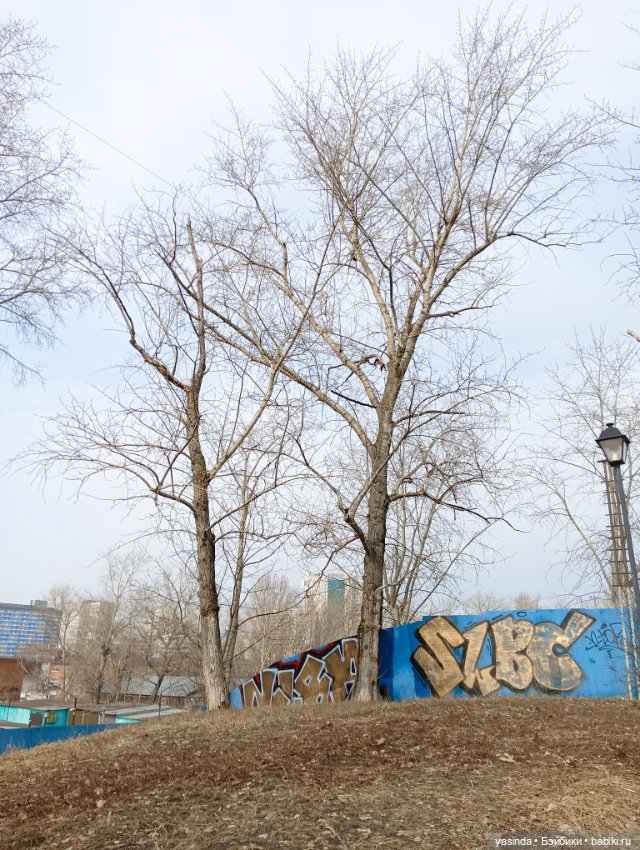 Раз два три четыре пять — Азиатские виниловые куклы (разное): Китай (фото 9)