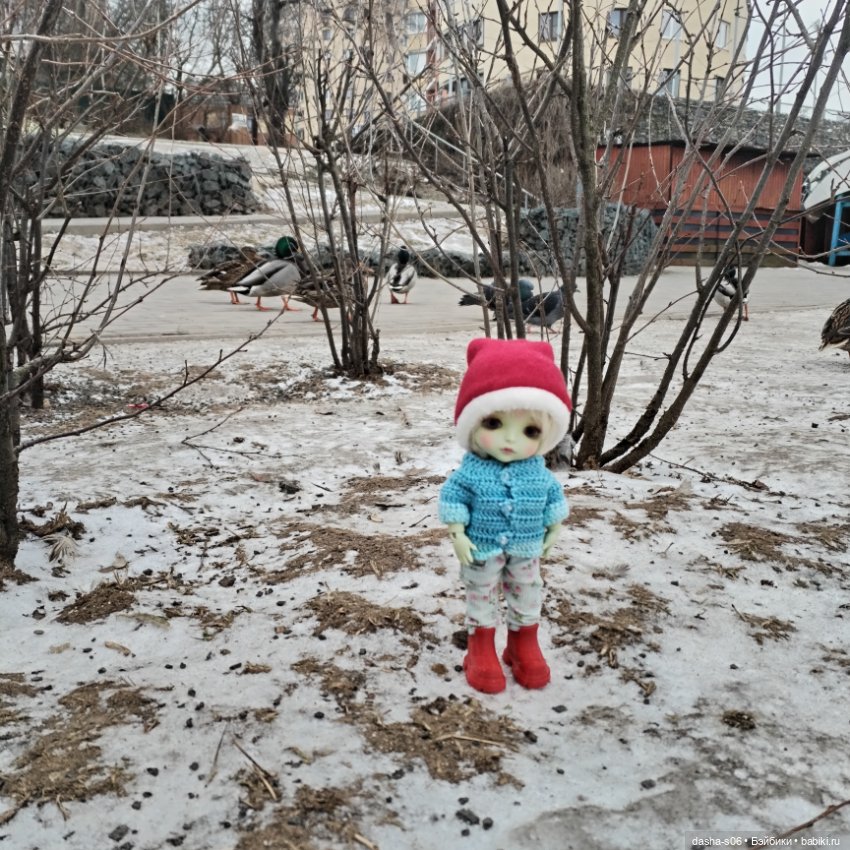 Лео в Троицке — Куклы Latidoll (Лати): BJD (БЖД) (фото 3)