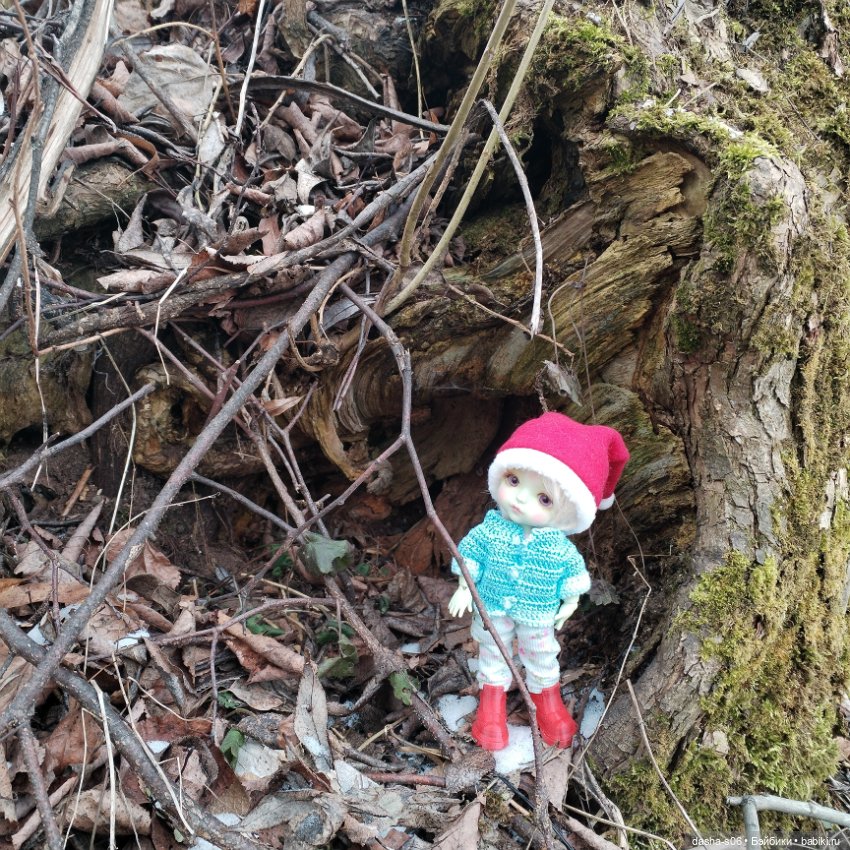 Лео в Троицке — Куклы Latidoll (Лати): BJD (БЖД)