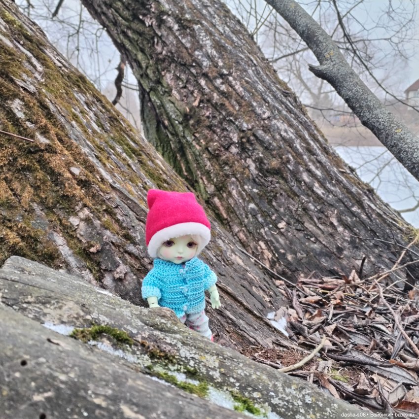 Лео в Троицке — Куклы Latidoll (Лати): BJD (БЖД)