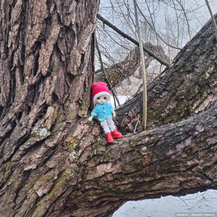 Лео в Троицке — Куклы Latidoll (Лати): BJD (БЖД)