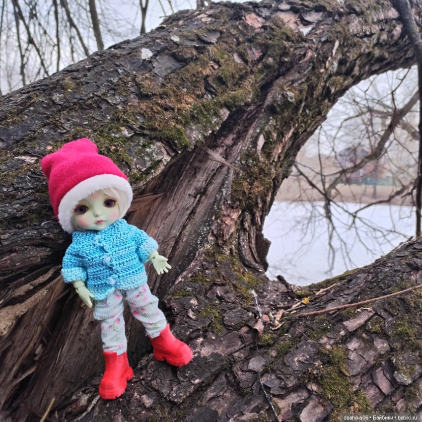 Лео в Троицке — Куклы Latidoll (Лати): BJD (БЖД)