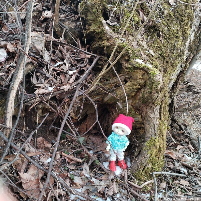 Лео в Троицке — Куклы Latidoll (Лати): BJD (БЖД)