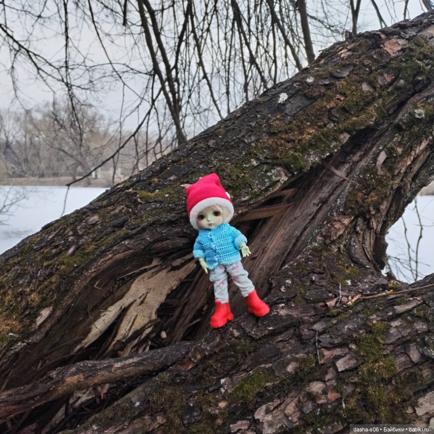 Лео в Троицке — Куклы Latidoll (Лати): BJD (БЖД)