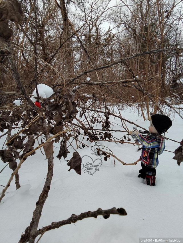 Снежный февраль — Куклы Ruby Red (Руби Ред) Fashion Friends: Siblies (фото 2)