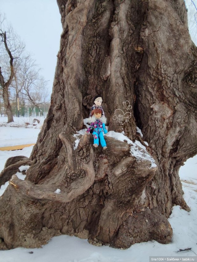 Снежный февраль — Куклы Ruby Red (Руби Ред) Fashion Friends: Siblies (фото 5)