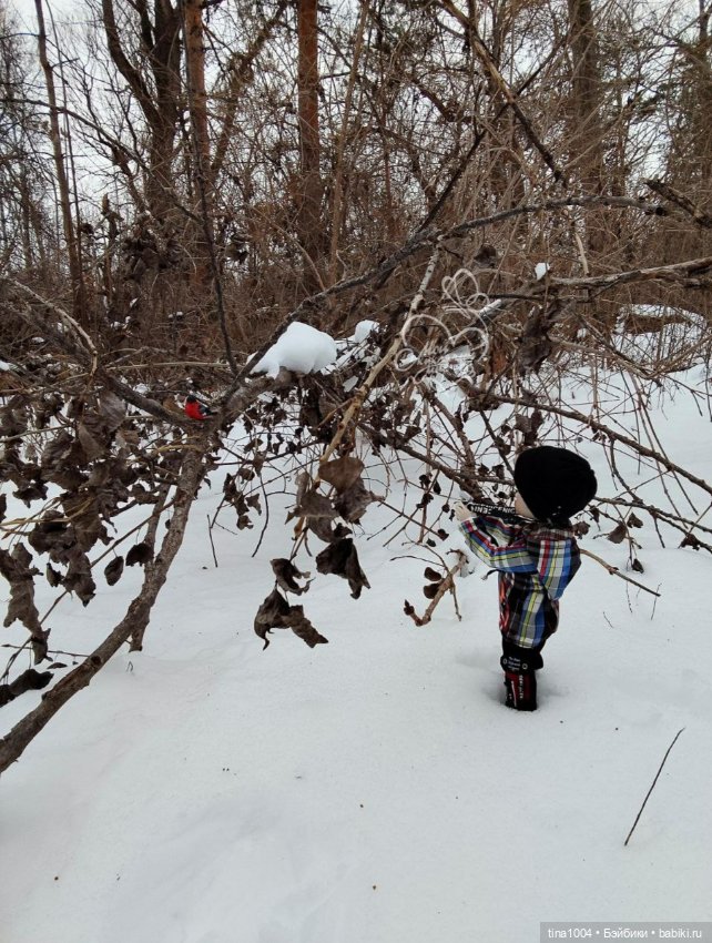 Снежный февраль — Куклы Ruby Red (Руби Ред) Fashion Friends: Siblies