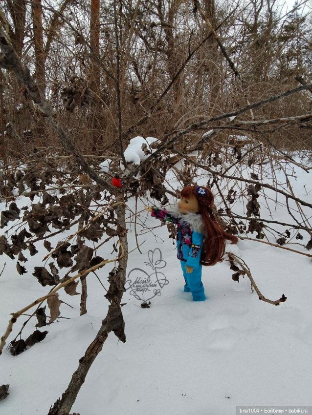 Снежный февраль — Куклы Ruby Red (Руби Ред) Fashion Friends: Siblies (фото 3)
