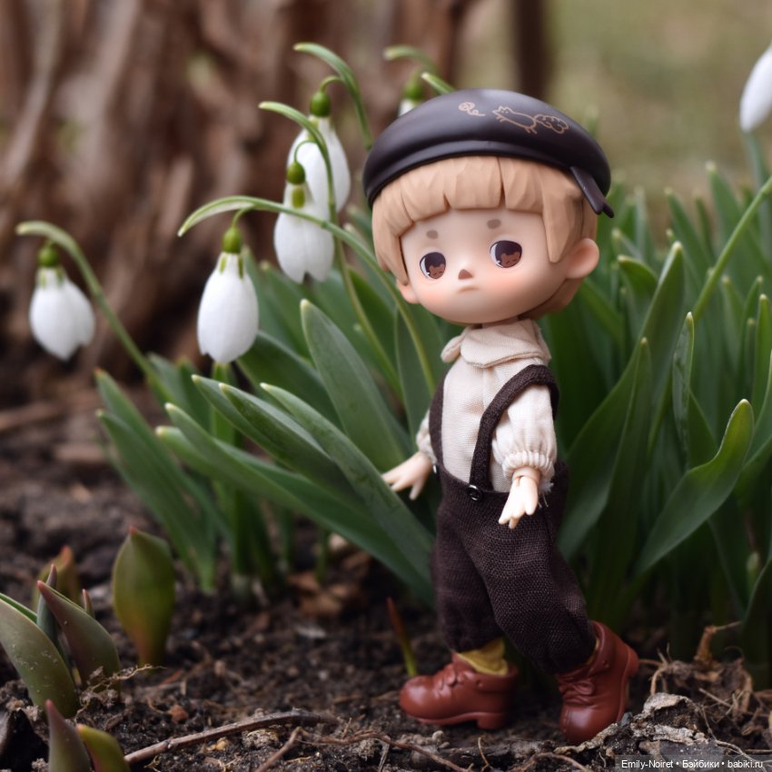 Фото-подборка: Снова подснежники (фото 9)