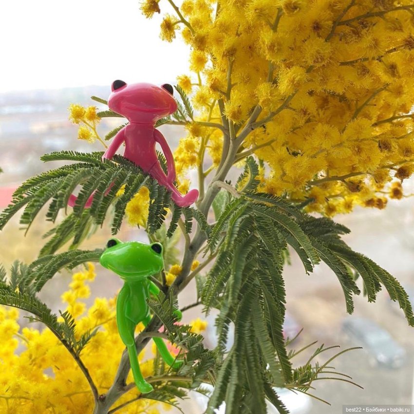 Флешмоб. День мимозы — Кукольные флешмобы: Эстафеты (фото 8)