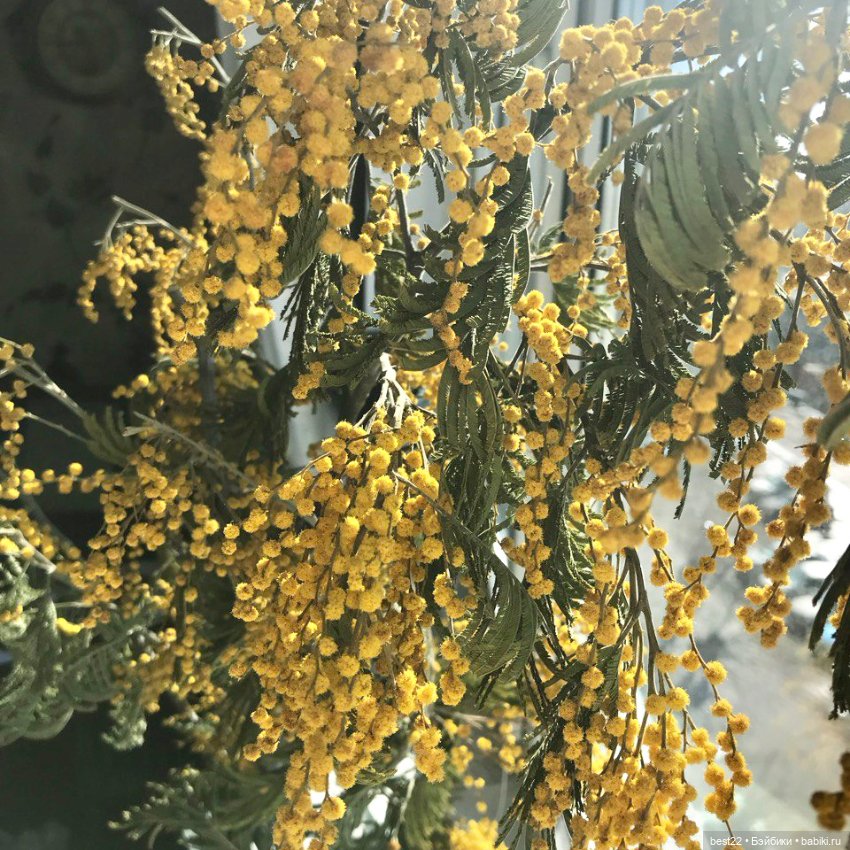 Флешмоб. День мимозы — Кукольные флешмобы: Эстафеты (фото 4)