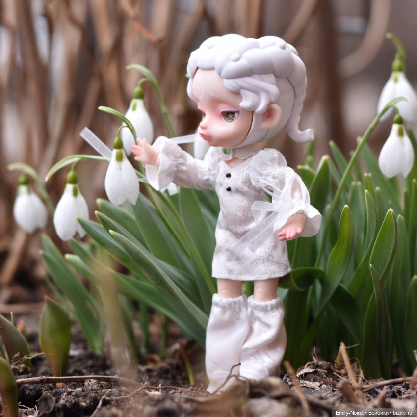 Фото-подборка: Снова подснежники (фото 6)