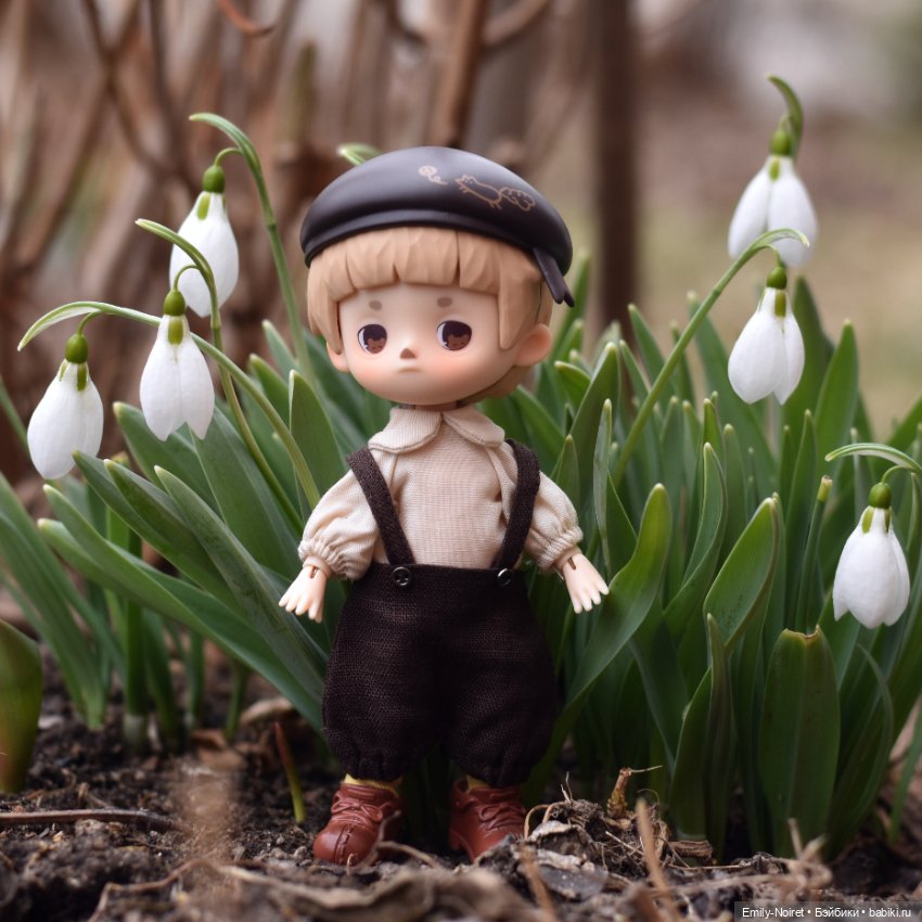 Фото-подборка: Снова подснежники (фото 8)