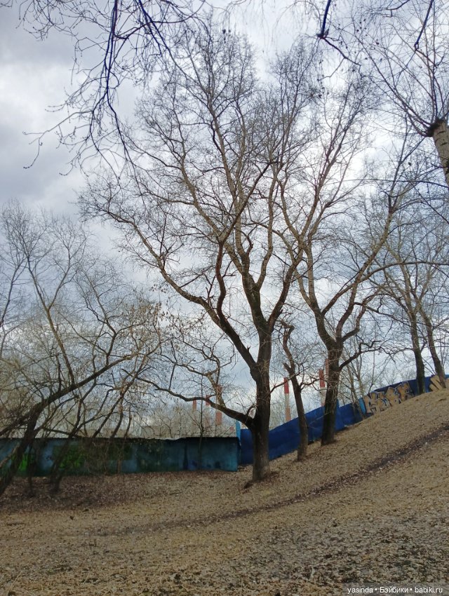 Раз два три четыре пять — Азиатские виниловые куклы (разное): Китай (фото 6)