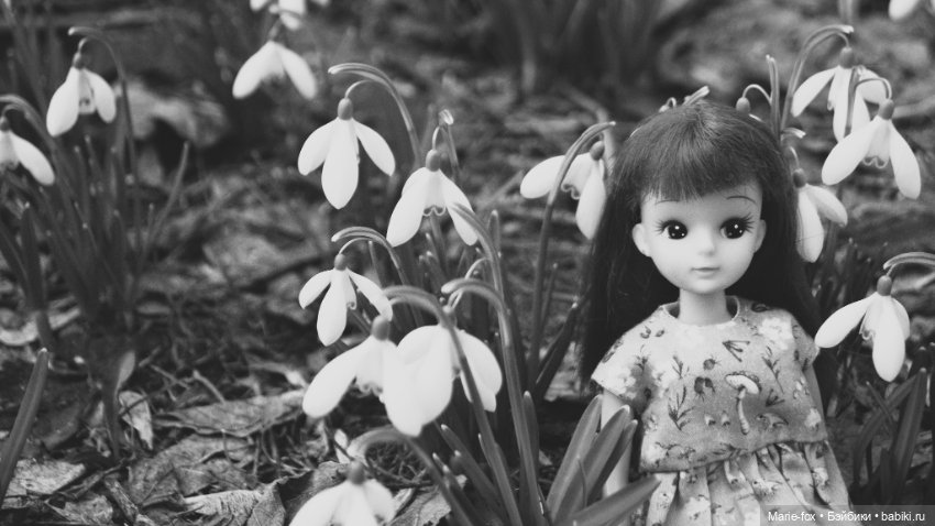 Весна пришла! Ликкуша гуляет (фото 2)