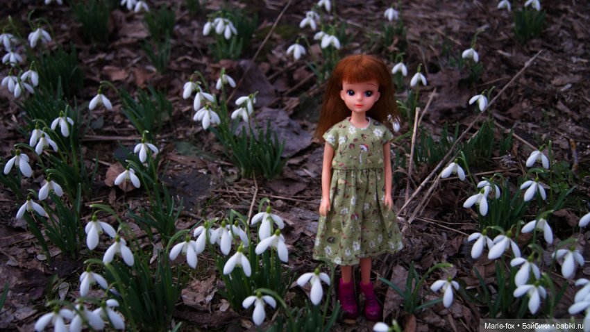 Весна пришла! Ликкуша гуляет (фото 4)