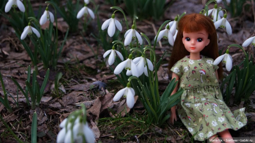 Весна пришла! Ликкуша гуляет (фото 3)