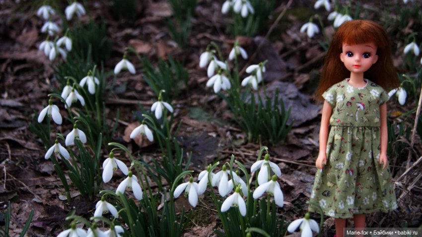 Весна пришла! Ликкуша гуляет (фото 5)