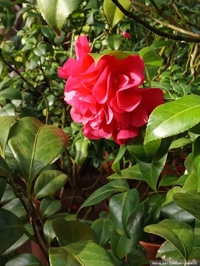 Прогулка в весну — Туризм и путешествия: фотоотчеты из поездок (фото 10)