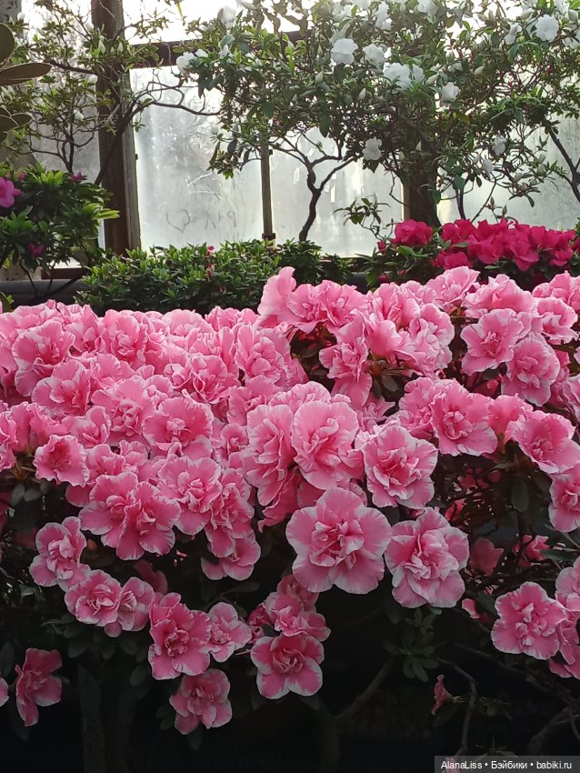 Прогулка в весну — Туризм и путешествия: фотоотчеты из поездок