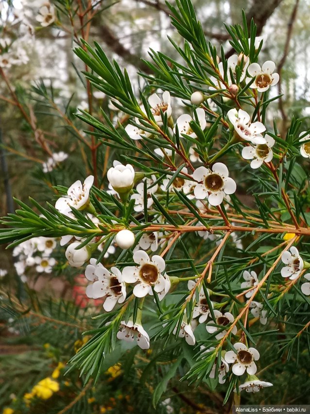 Прогулка в весну — Туризм и путешествия: фотоотчеты из поездок