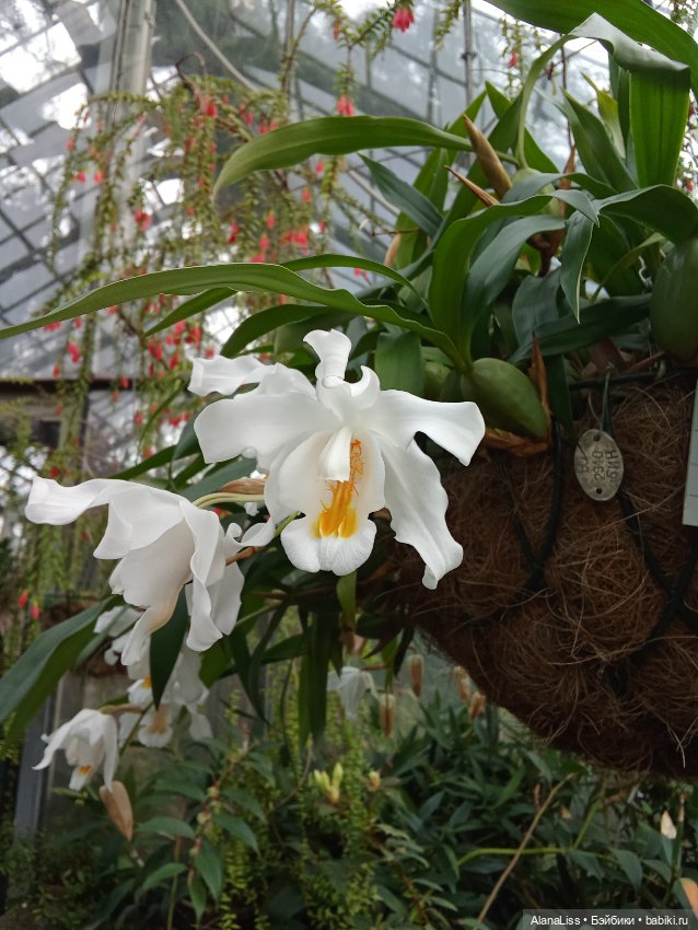 Прогулка в весну — Туризм и путешествия: фотоотчеты из поездок