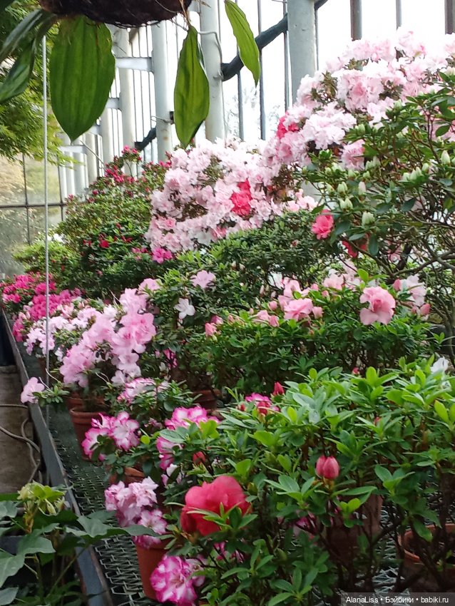 Прогулка в весну — Туризм и путешествия: фотоотчеты из поездок